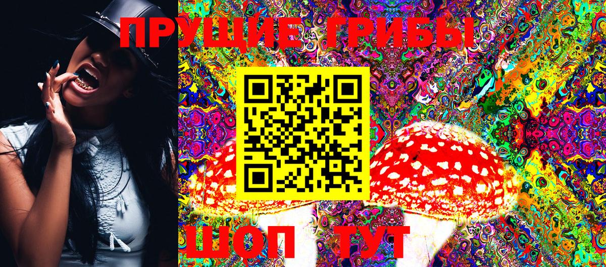 Галлюциногенные грибы Cubensis  Вход с VPN  Топки 